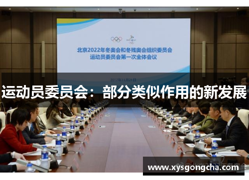 运动员委员会：部分类似作用的新发展